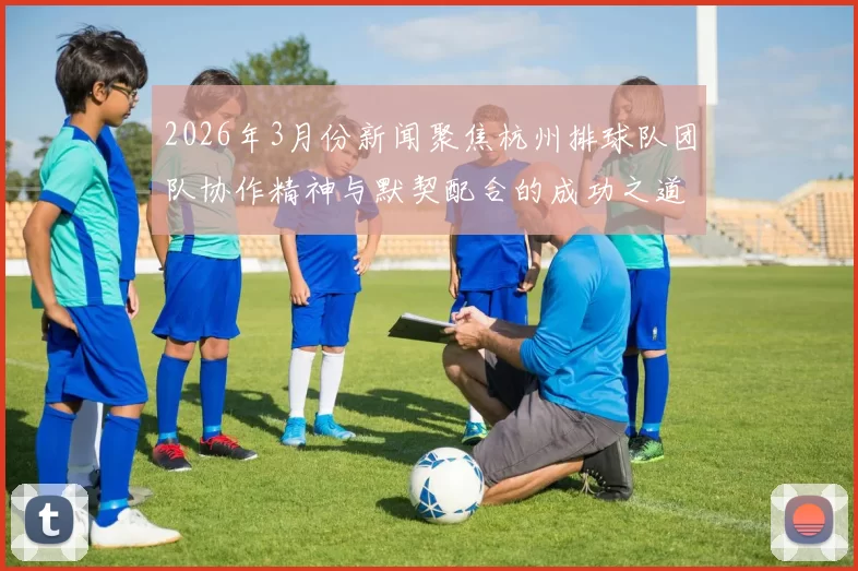 2026年3月份新闻聚焦杭州排球队团队协作精神与默契配合的成功之道